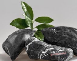 CRNI OBLUTAK “MONTENEGRO”